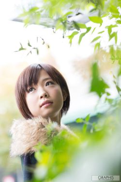 珠帘玉幕免费观看完整版电视剧