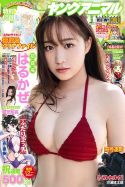 XL司令第一季全集在线观看完整版