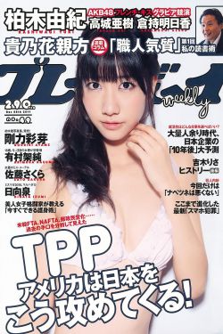 旗舰电视剧