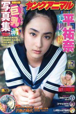 公主日记